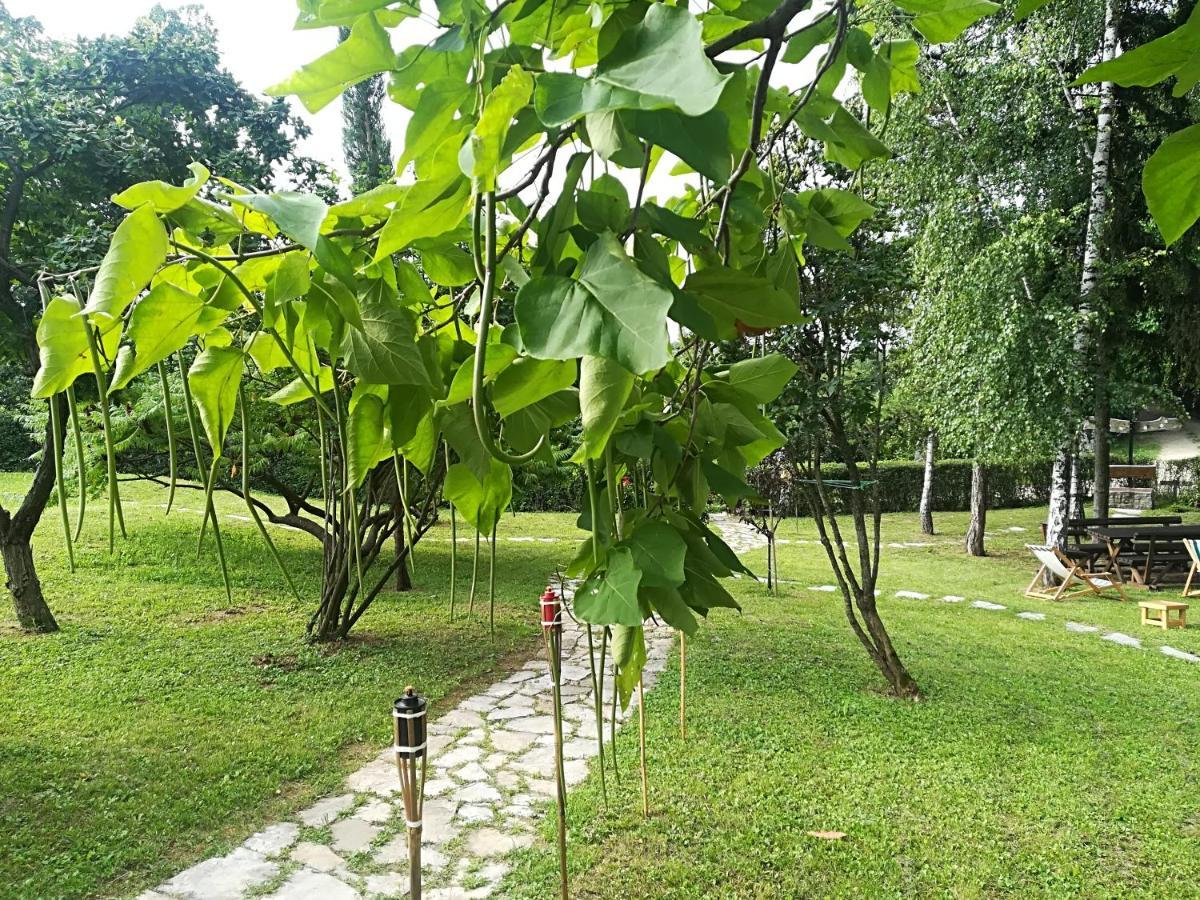 Vila Davidovic-Fruska Gora Mandelos Exterior photo