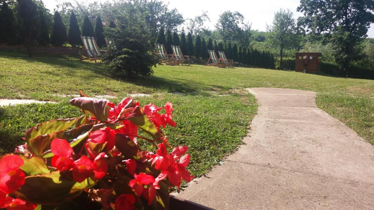 Vila Davidovic-Fruska Gora Mandelos Exterior photo