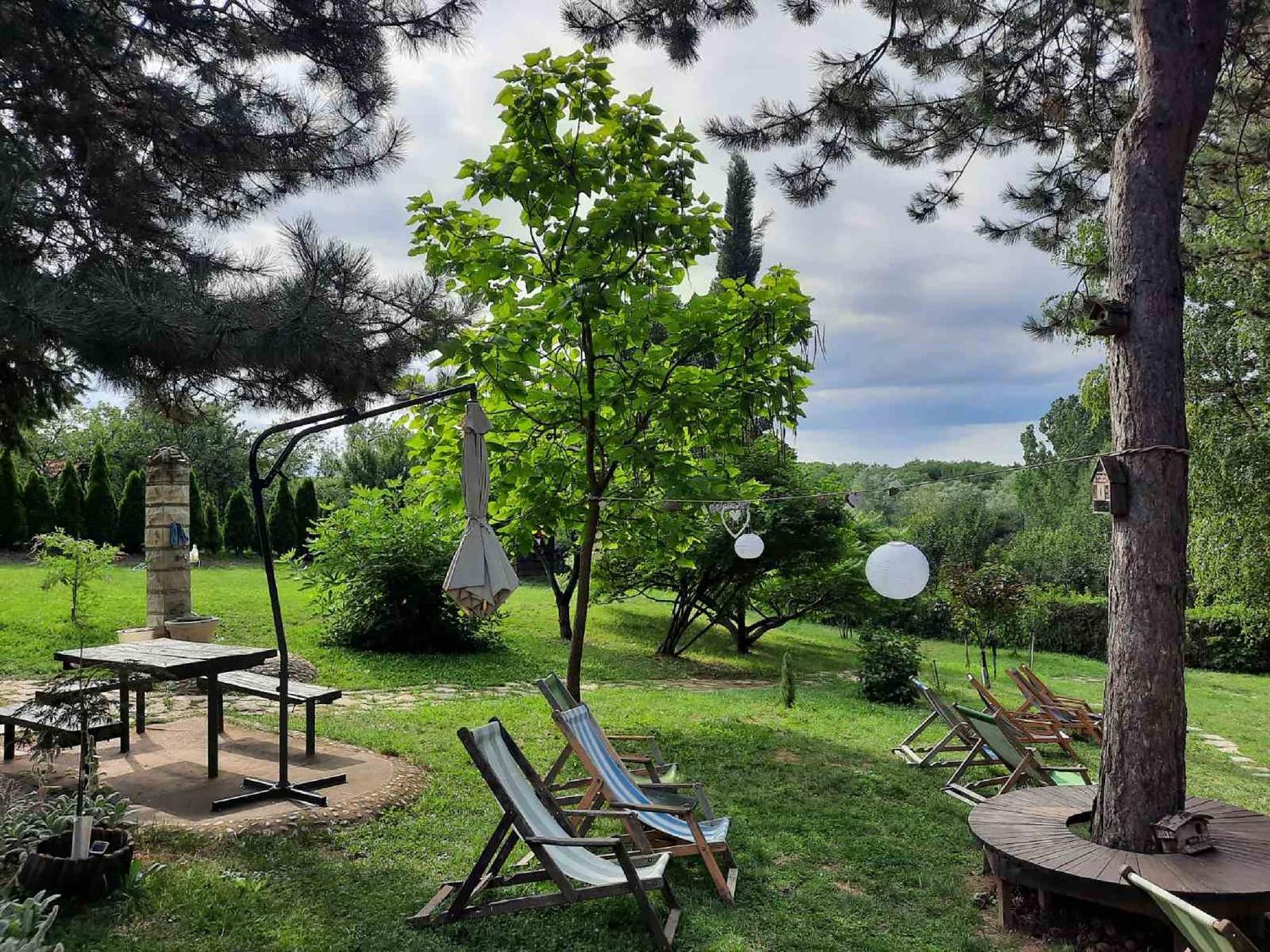 Vila Davidovic-Fruska Gora Mandelos Exterior photo