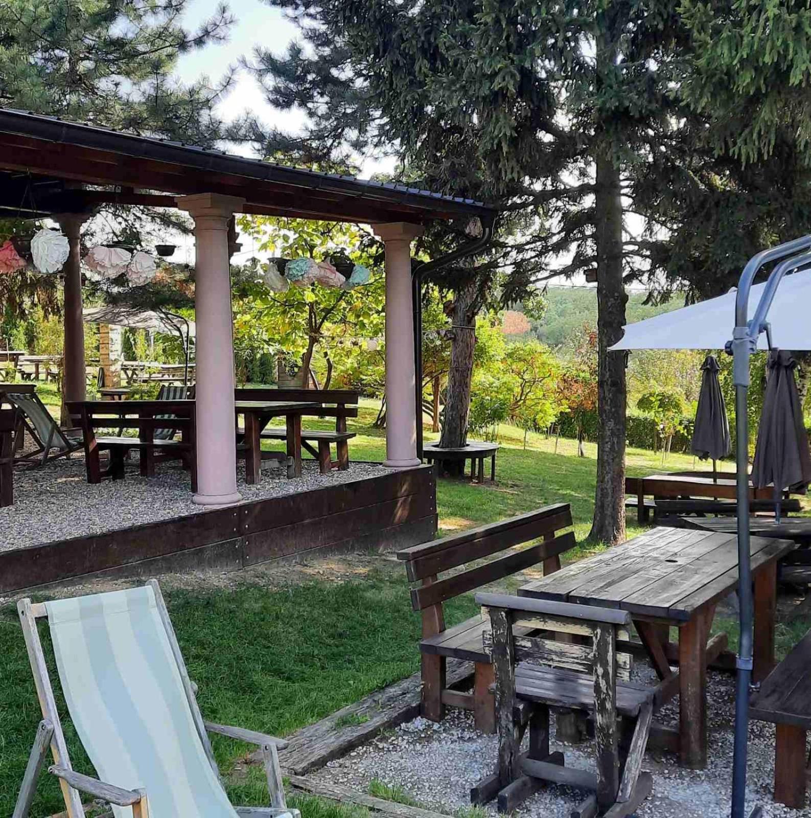 Vila Davidovic-Fruska Gora Mandelos Exterior photo