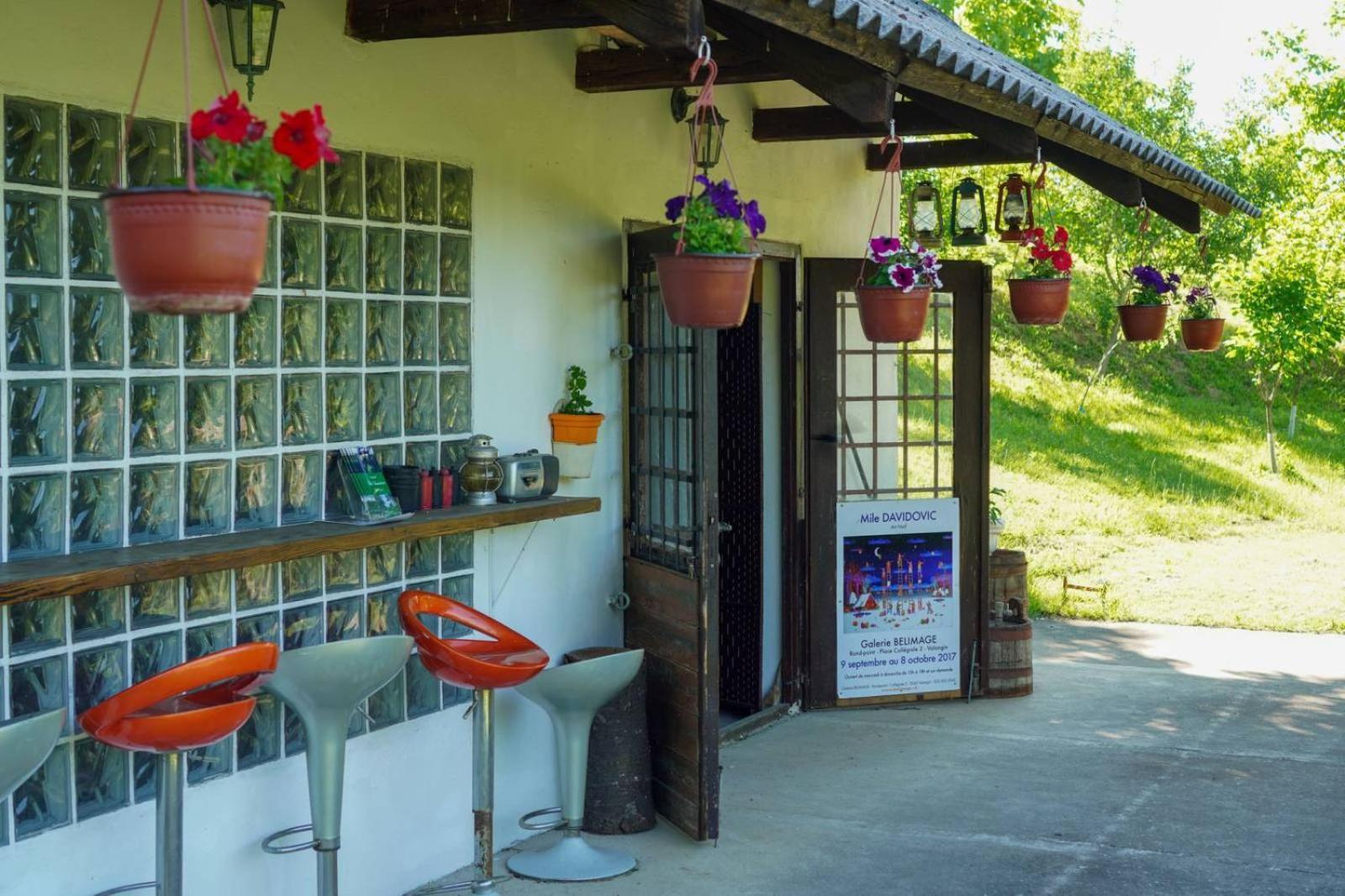 Vila Davidovic-Fruska Gora Mandelos Exterior photo