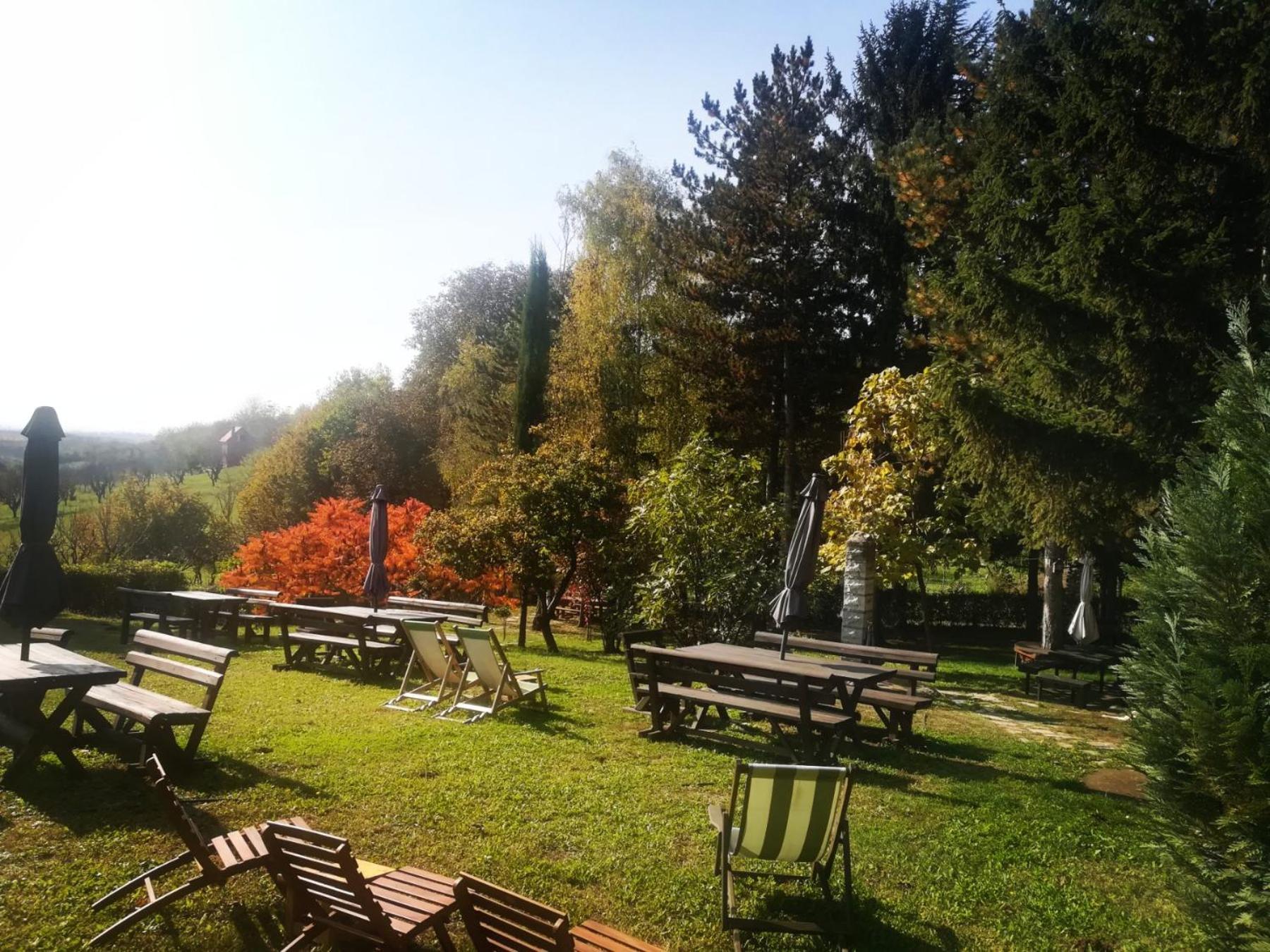 Vila Davidovic-Fruska Gora Mandelos Exterior photo