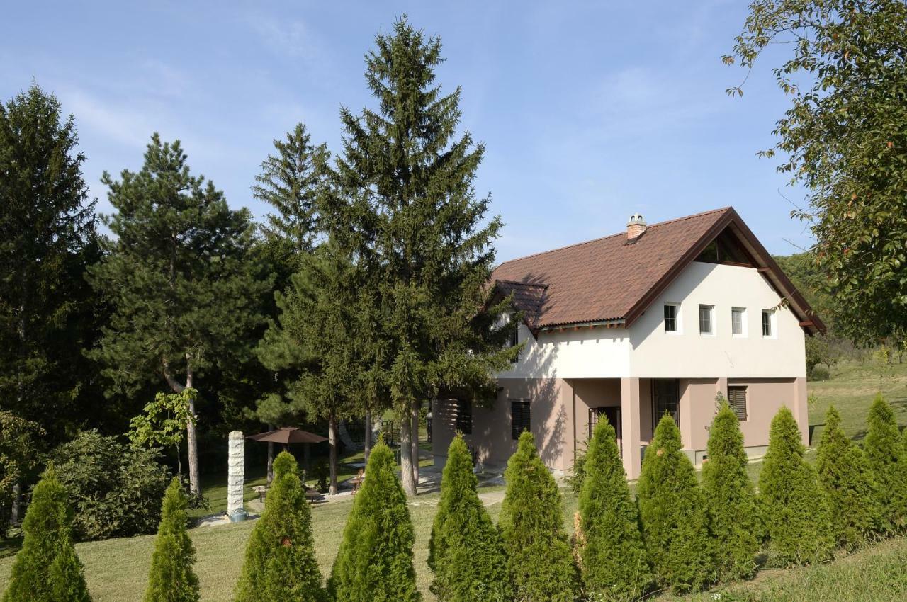 Vila Davidovic-Fruska Gora Mandelos Exterior photo