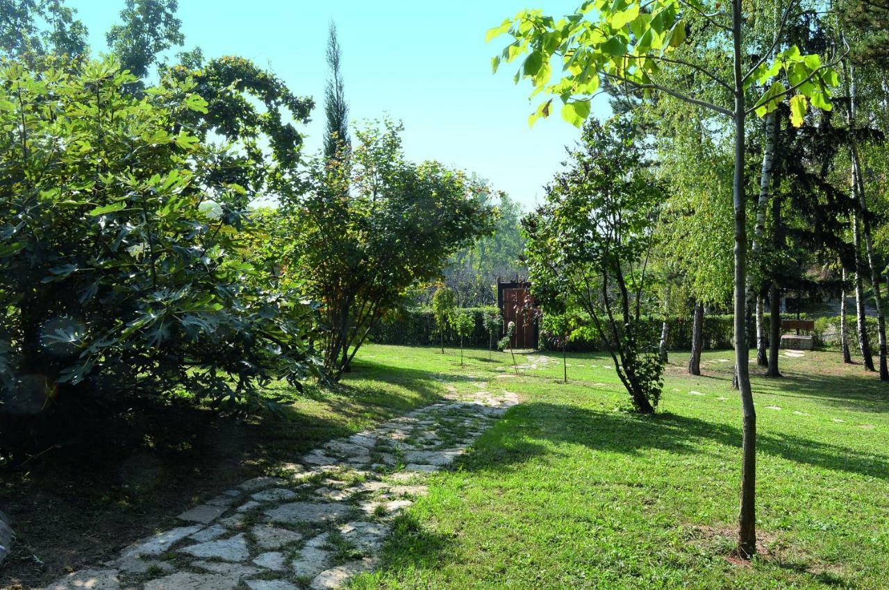 Vila Davidovic-Fruska Gora Mandelos Exterior photo