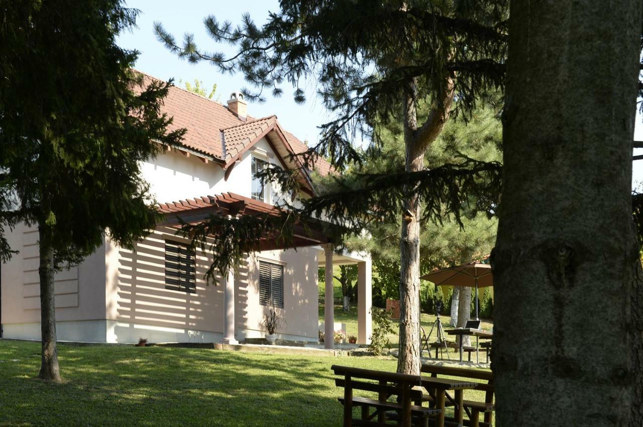 Vila Davidovic-Fruska Gora Mandelos Exterior photo